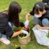 MOAIプロジェクト第1弾『天然繊維プランターで地域緑化』in松島自治会を実施
